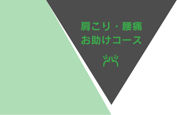 燃焼シェイプアップコース